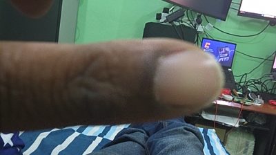 Analysis Input