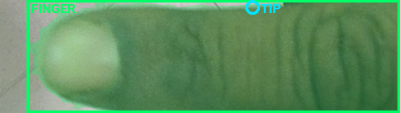 Fingertip / Geometry Overlay