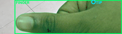 Fingertip / Geometry Overlay