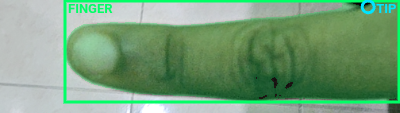 Fingertip / Geometry Overlay