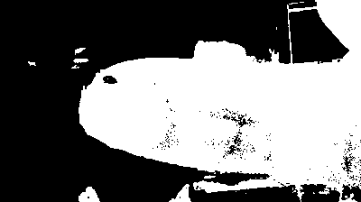 Finger Segmentation Mask